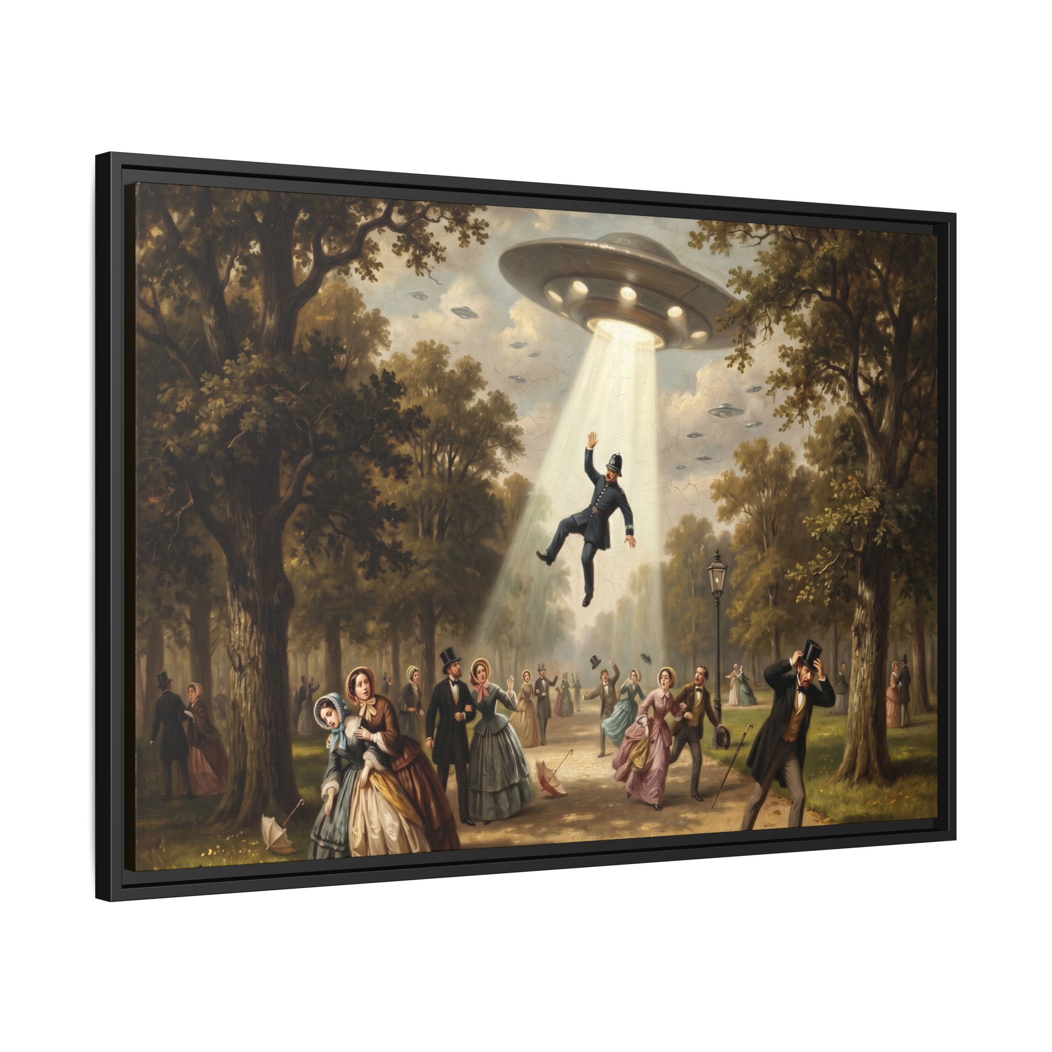 Vintage Park UFO Abduction - Funny Bathroom Art - Matte Canvas Framed Print - Image 6