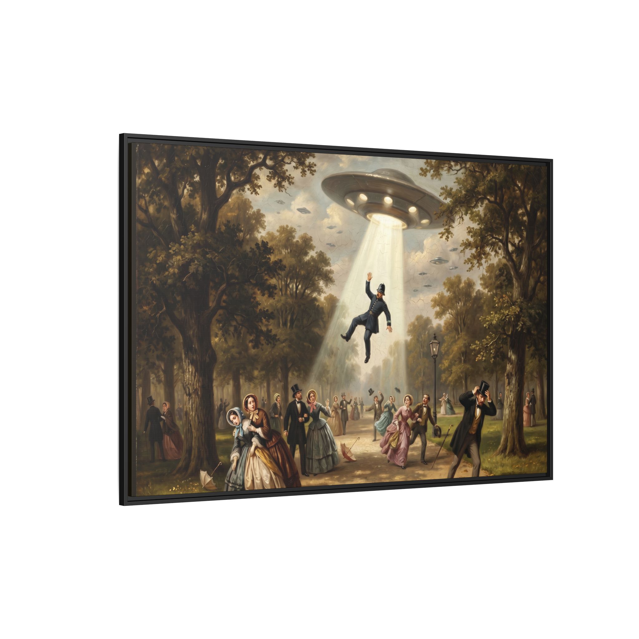 Vintage Park UFO Abduction - Funny Bathroom Art - Matte Canvas Framed Print - Image 2