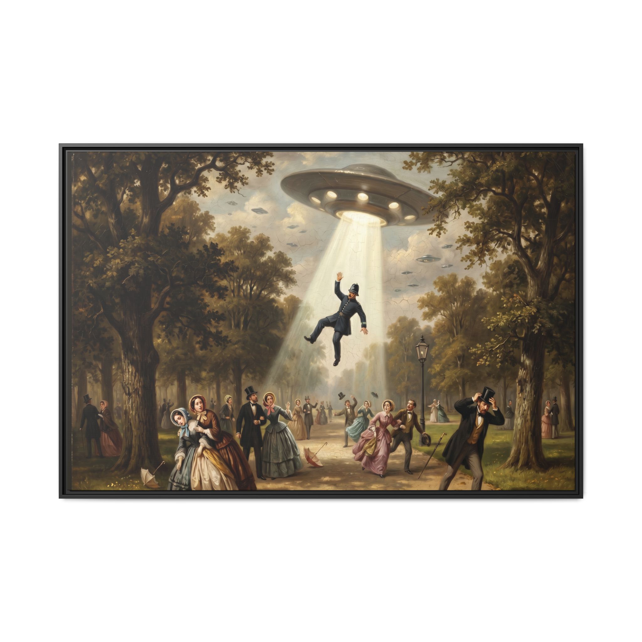 Vintage Park UFO Abduction - Funny Bathroom Art - Matte Canvas Framed Print